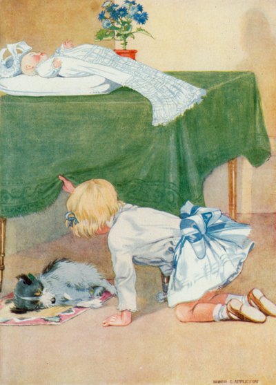 ジョセフィーヌの誕生日のイラスト (カラーリソ) 作： Honor Charlotte Appleton