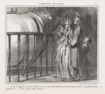 動物の博覧会：Pl。 5、牛象、新種... 作： Honoré Daumier