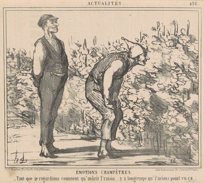 ブドウが熟す様子を見守らなければならない... 作： Honoré Daumier