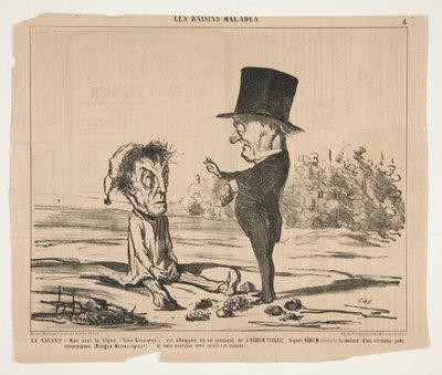 The Scholar - 私の友人であるつる (Vitis Linnaeus.) は、現在攻撃を受けています。 作： Honoré Daumier