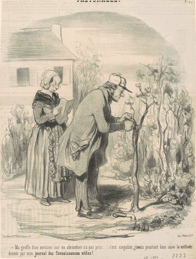 アプリコットの木に桜を接ぎ木するのに時間がかかりませんでした... 作： Honoré Daumier