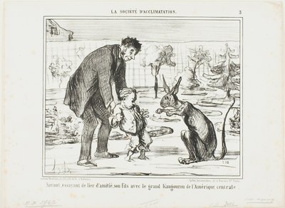 中米のカンガルーと息子を仲良くさせようとする科学者（La Société D
