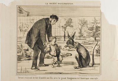 中米のカンガルーと息子を仲良くさせようとする科学者（La Société D