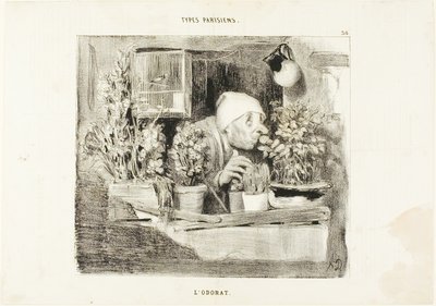 タイプ・パリジェンヌより38「匂い 作： Honoré Victorin Daumier