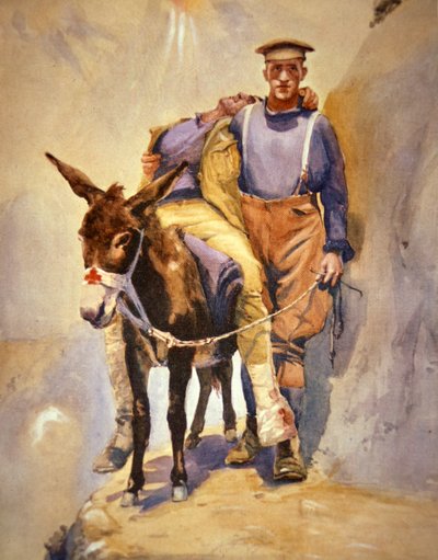 1915年、ガリポリで負傷した兵士をロバとともに救助した第3オーストラリア野戦救急隊のジョン・シンプソン・カークパトリック氏。 作： Horace Moore Jones