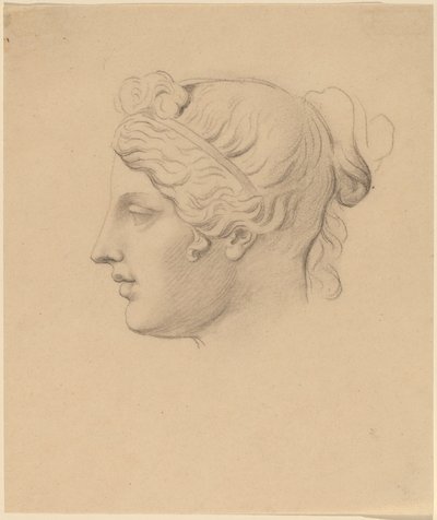 プロフィールの古典的な頭 作： Horatio Greenough