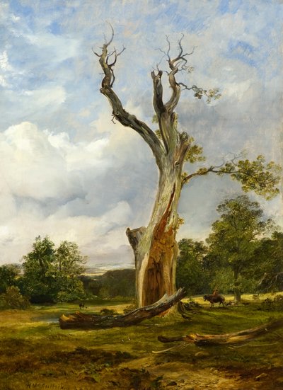 爆破された木、c.1838（キャンバスに油彩） 作： Horatio McCulloch