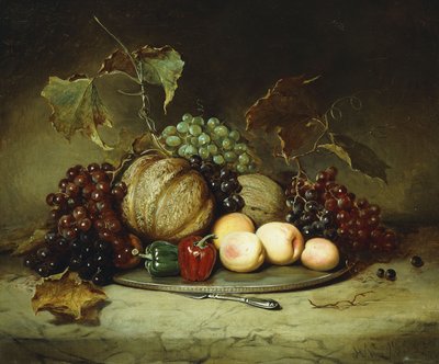 豊かな静物、1855 作： Hugh Newell