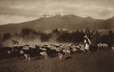 メキシコ：アメカメカ周辺（モノクロ写真） 作： Hugo Brehme