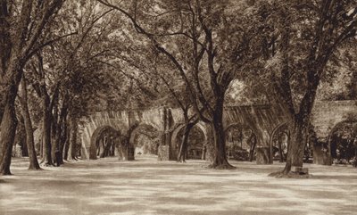 メキシコ：モレリア、古い水道管（モノクロ写真） 作： ウーゴ・ブレーメ