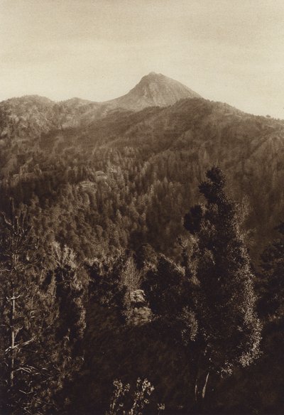 メキシコ：ネバド・デ・コリマ、部分写真（モノクロ写真） 作： Hugo Brehme