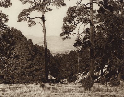 メキシコ：ピコ・デ・オリサバの麓の野生のパノラマ（モノクロ写真） 作： Hugo Brehme