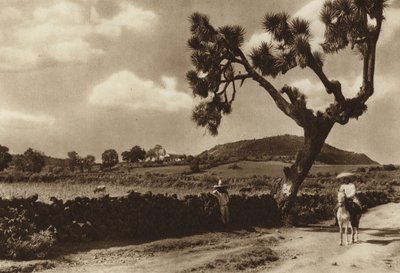 メキシコ：ミチョアカン州パツクアロ、エル・カルバリオ（モノクロ写真） 作： Hugo Brehme