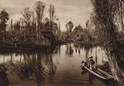 メキシコトラワク（モノクロ写真） 作： Hugo Brehme