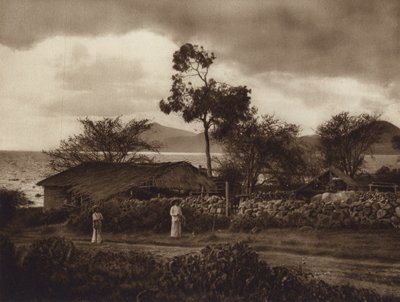 メキシコ：チャパラ湖の眺め（モノクロ写真） 作： ウーゴ・ブレーメ