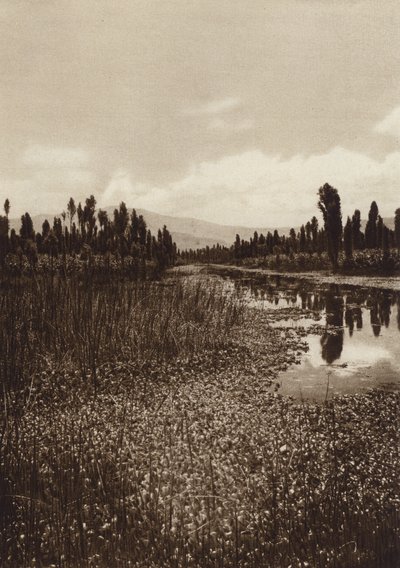 メキシコ：ソチミルコ、主要な運河のひとつ（モノクロ写真） 作： Hugo Brehme