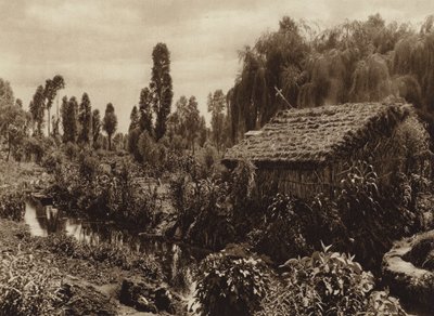 メキシコ：いわゆる「空中庭園」のあるソチミルコ（モノクロ写真） 作： ウーゴ・ブレーメ