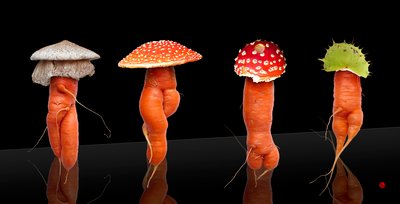 着用する準備ができて 作： Hugo Nefe