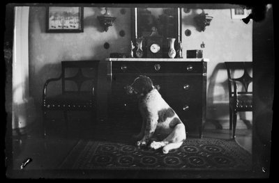 ヴィボルグのニクラス・シンベリの自宅でのサルト 作： Hugo Simberg