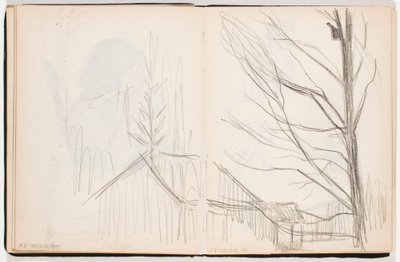  作： Hugo Simberg