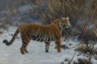 "Un tigre dans la neige (雪の中の虎) Hugo Ungewitter (1869-1944) の絵画 1912年 個人蔵 作： Hugo Ungewitter