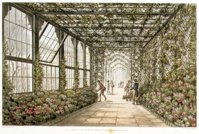 ジョセフ・コンスタンティン・スタドラー（1780-1812）による「ブライトンのパビリオンのためのデザイン」からの彫刻「温室の廊下」。1808年、カラーリトグラフ版 作： Humphry Repton