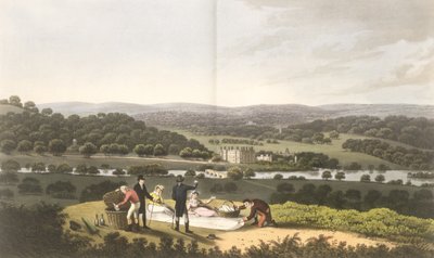 プロスペクトヒルからのロングリートの概観、「造園の理論と実践に関する断片」、パブ。 1816 作： Humphry Repton