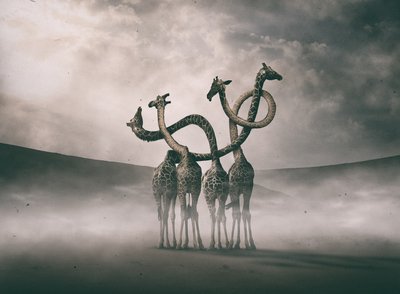  作： Hussain Buhligaha