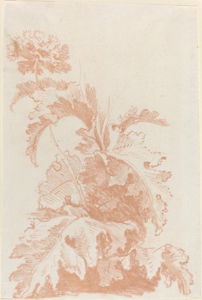 ケシの花 作： I Jean Baptiste Hüet