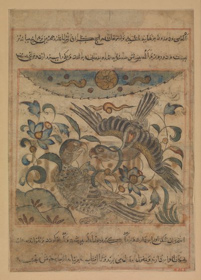 ワシのつがい、マナフィ・アル・ハヤワンのフォリオ 動物の有用性について...、ca。 1300。 作： Ibn Bakhtishu