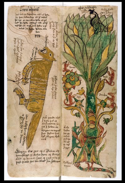 ウルフフェンリルと世界の木のユグドラシル、1680 作： Icelandic School