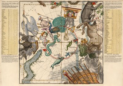 説明中の天球板の平面からの南極プレート6、パブ。 1674年 作： Ignace Gaston Pardies