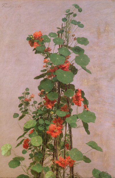 キンレンカ、1880 作： Ignace Henri Jean Fantin Latour