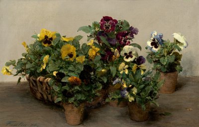 パンジー 作： Ignace Henri Jean Fantin Latour