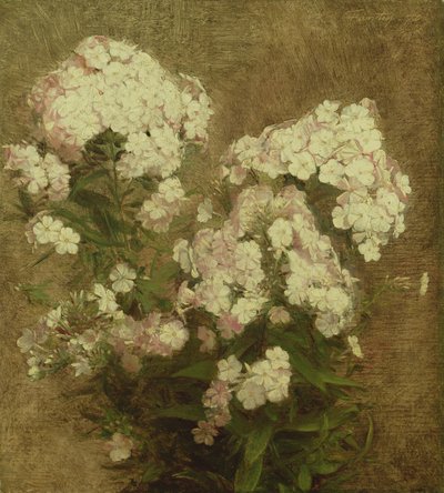 フロックス、1870 作： Ignace Henri Jean Fantin Latour