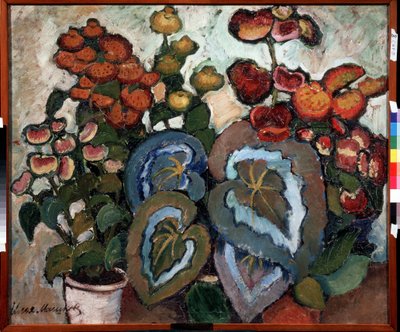 ベゴニア。 Peinture de Ilya Ivanovich Mashkov (Ilya Machkov, Matchkov) (1881-1944), huile sir toile 作： Ilya Ivanovich Mashkov