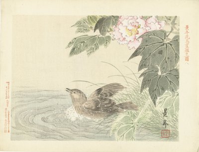 ピンクの花の近くで鳥を水浴び 桂年花鳥画（シリーズタイトル） 経年課長画譜 作： Imao Keinen