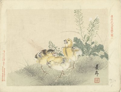 3羽のひよこ 桂年花鳥画（シリーズタイトル） 経年課長画譜 作： Imao Keinen