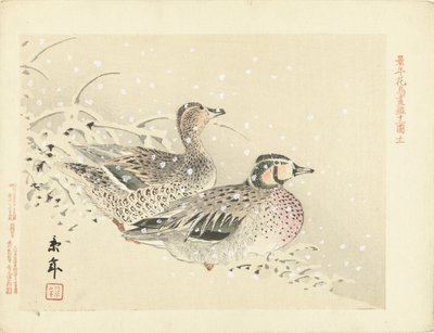 雪の中のカモの群れ ケネン花鳥画（連載タイトル） 経年課長画譜 作： Imao Keinen