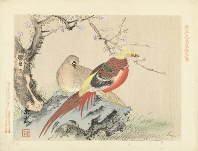 岩の上のキジの群れ 桂年花鳥画（シリーズタイトル） 経年課長画譜 作： Imao Keinen