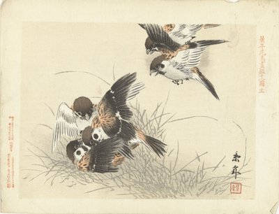 戦闘中の 5 羽のスズメ 桂年花鳥画（シリーズタイトル） 経年課長画譜 作： Imao Keinen