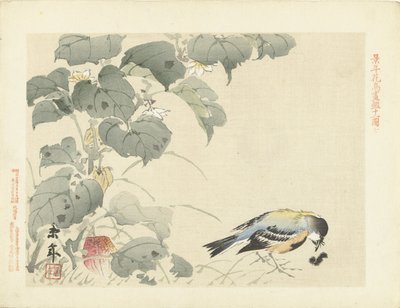 毛虫を持つ鳥 桂年花鳥画（シリーズ名） 経年課長画譜 作： Imao Keinen