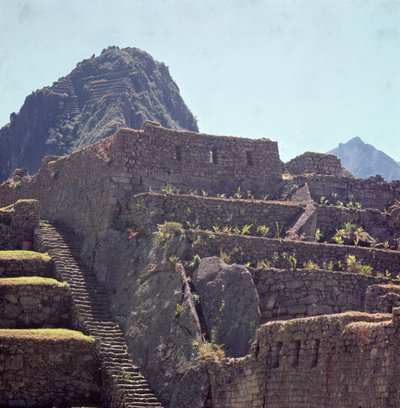 マチュピチュの城塞のテラスの建物の遺跡 作： Incan