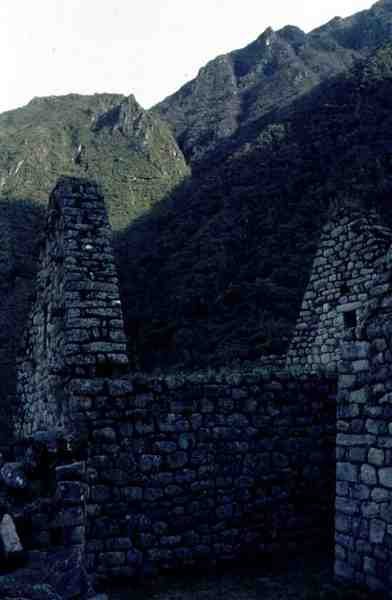 マチュピチュの城塞から見た廃墟の家（写真） 作： Incan Incan