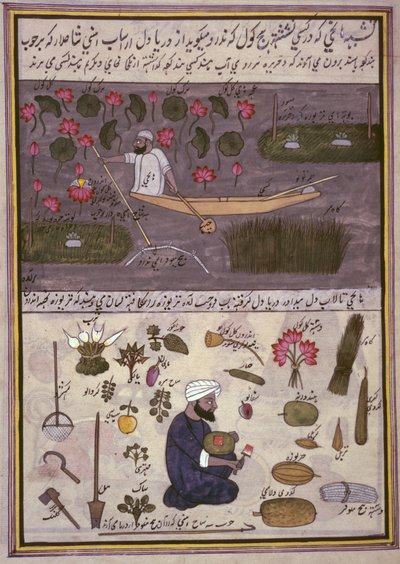 「カシミール貿易のアルバム」、1860年頃（紙に水彩） 作： Indian School