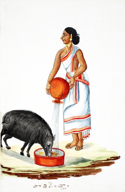 野生の豚に給餌（紙にトイレ） 作： Indian School