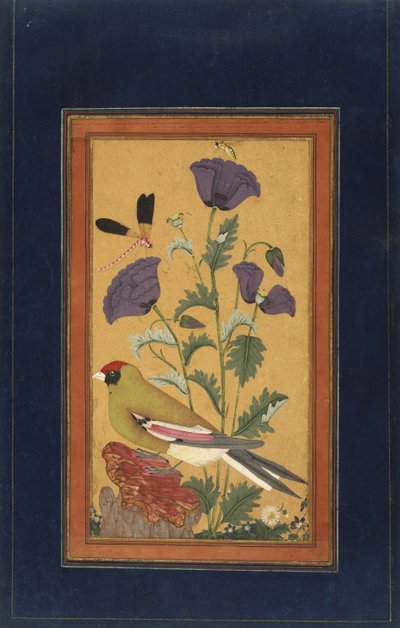 フィンチ、ポピー、トンボ、ハチ、1650-70年（紙に不透明なトイレと金） 作： Indian School