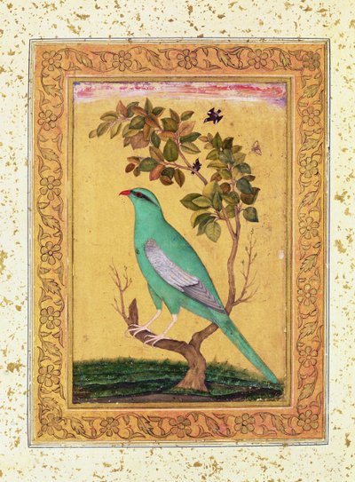 緑の鳥、ムガール 作： Indian School