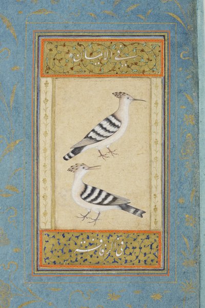 ヤツガシラ、1590年頃（紙に不透明なトイレと金） 作： Indian School