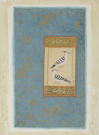 ヤツガシラ、1590年頃（紙に不透明なトイレと金） 作： Indian School